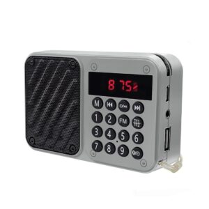FM Radio Bluetooth Speaker with FM Recording, Powerful 6W Sound, Telescopic Antenna, USB Rechargeable Battery (Up to 12 Hours), AUX/USB/TF Card Support & Number Pad (Multicolour)