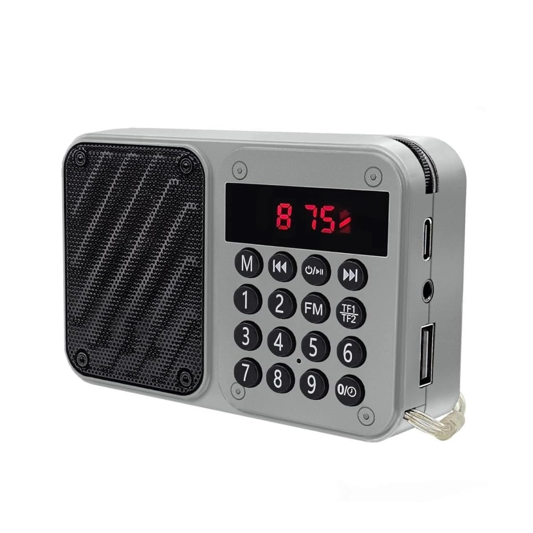 FM Radio Bluetooth Speaker with FM Recording, Powerful 6W Sound, Telescopic Antenna, USB Rechargeable Battery (Up to 12 Hours), AUX/USB/TF Card Support & Number Pad (Multicolour)