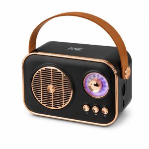 Portable Bluetooth Speaker with FM Radio | Retro Vintage Style Wireless Speaker with Rechargeable Battery, USB & TF Card Support | Compact Music Speaker for Home, Travel & Gifting