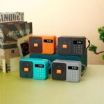 Portable Wireless Bluetooth Speaker with FM Radio, LED Display, 5W Output, Type C Fast Charging,