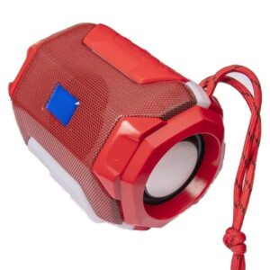 Drumstone Portable Stereo Bluetooth Speaker with RGB Lights, USB & TF Card Support, FM Radio, Hanging Design, Compact Speaker for Home, Travel & Outdoor Use