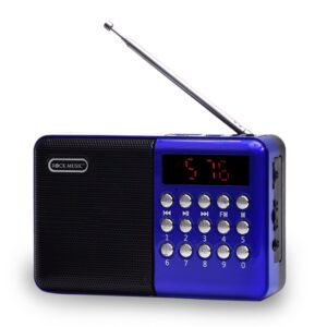 Jaxter 5W Bluetooth Speaker with FM Radio � Powerful 4.1 Channel Audio, Stylish Red Portable Speaker (Blue)